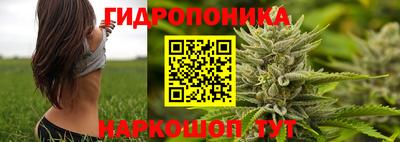 тгк Нальчик