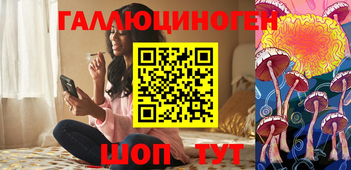 Дятьково  Псилоцибиновые грибы мухоморы  Вход с VPN  Псилоцибиновые грибы Psilocybine cubensis 