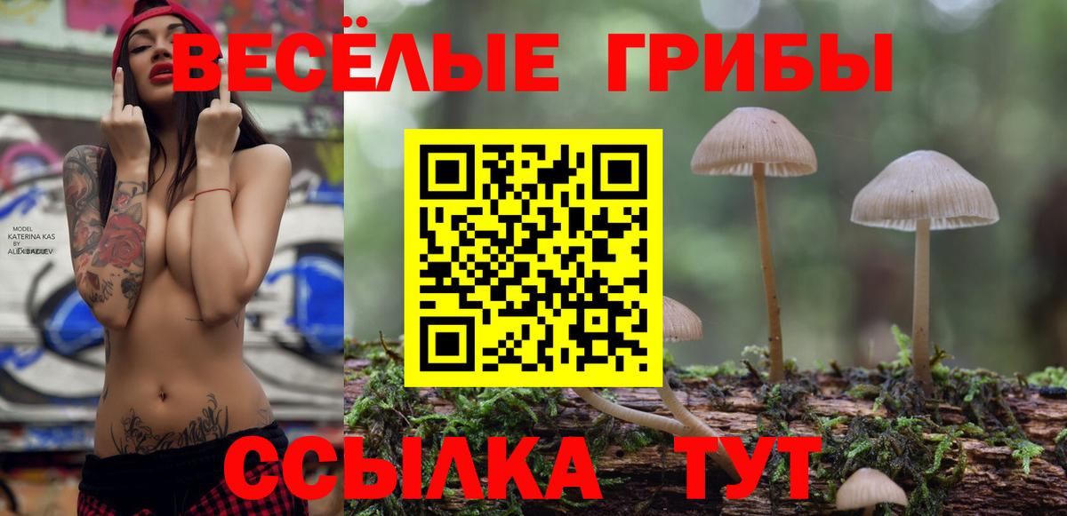 Галлюциногенные грибы Psilocybine cubensis Дятьково